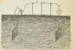 Balfour, Stewart: A természettan elemei. Ford.: Müller József. 150 fametszetű ábrával és egy színkép...