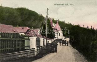 Brandhof
