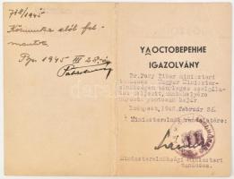 1945 Bp., Igazolvány magyar és orosz nyelven közmunka alóli felmentésről és tényleges szolgálat teljesítéséről