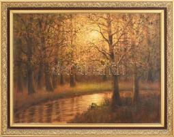 Csókfalvy Raffay Sándor (?-?): Őszi erdő
Olaj, vászon, jelzett, szép keretben, 60x80 cm