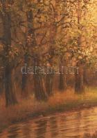 Csókfalvy Raffay Sándor (?-?): Őszi erdő
Olaj, vászon, jelzett, szép keretben, 60x80 cm