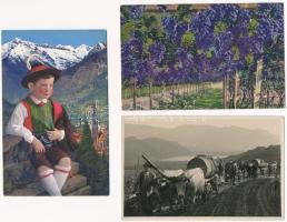 Dél Tirol: népviselet, szőlő, szüret, városképek több mint 100 lap erős ismétlődéssel