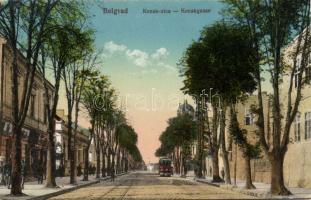 Belgrad with railway