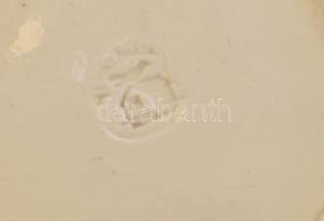 Hollóházi virágmintás falra akasztható porcelán tányér, kézzel festett, jelzett, kopott, apró lepatt...