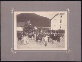 cca 1910 Katonai lovászok, 12x16 cm, karton 20,5x27,5 cm