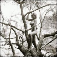 cca 1985 Tarzan hol vagy, merre csavarogsz? - Menesdorfer Lajos (1941-2005) budapesti fotóművész hagyatékából, 3 db vintage NEGATÍV, 6x6 cm