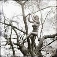 cca 1985 Tarzan hol vagy, merre csavarogsz? - Menesdorfer Lajos (1941-2005) budapesti fotóművész hag...