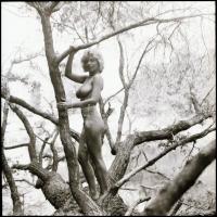 cca 1985 Tarzan hol vagy, merre csavarogsz? - Menesdorfer Lajos (1941-2005) budapesti fotóművész hag...