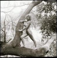 Az aktfotózás örömei, Menesdorfer Lajos (1941-2005) budapesti fotóművész hagyatékából, 13 db vintage...