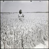 Vegyes válogatás különféle témákról Menesdorfer Lajos (1941-2005) budapesti fotóművész hagyatékából,...