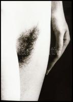 Aktok vegyesen, eltérő időpontokban és különböző helyszíneken készült felvételek, 7 db NEGATÍV, 36x2...