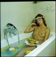 Több fotómodell közreműködésével, eltérő időpontokban és különböző helyszíneken készült akt felvétel...