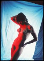 cca 1973 Czakó László (?-?) pécsi fotóművész hagyatékából 13 db vintage DIAPOZITÍV az aktfotó műfajá...