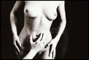 Több fotómodell közreműködésével és különböző időpontokban, eltérő helyszíneken készült aktfotók, vá...