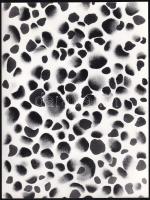 1983 Dechandt Antal korai munkája (pamacs nyomatok), feliratozva, 18x24 cm