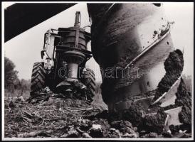 cca 1971 Tuskókiszedő erőgépek a gemenci erdőben, vintage fotó, 17,5x24,4 cm