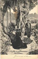 Olajfa a getshemani kertben / Olive trees in the Garden of Gethsemane s: P. Kaizer (fl)