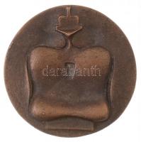 Tornay Endre András (1949-2008) DN Br névjegyérem (44mm) T:2