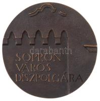 Renner Kálmán (1927-1994)? DN "Sopron Város Díszpolgára" Br emlékérem (117mm) T:1-