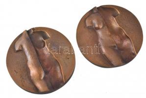 Bajcsy-Zsilinszky kórház (1932-1982) 50 éves jubileuma, bronz, papírdobozában, d: 8cm