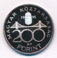 1995. 200Ft Ag "Deák" T:PP patina
Adamo F13.1