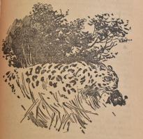 Széchenyi Zsigmond: Csui!... Afrikai vadásznapló. I-II. kötet. Kincses Könyvek. Bp., 1961, Szépiroda...