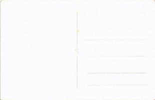 Rahó, Rachov, Rahiv, Rakhiv; látkép / general view. photo (EB)