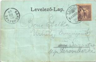 1901 Tordai-hasadék, Cheile Turzii, Torda, Turda; hasadék. Kiadja Füssy és Sztupjár / gorge. Art Nou...