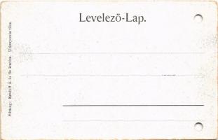 Petrozsény, Petrosani; Merisori vízesés. Kendoff A. és fia kiadása / waterfall (lyukasztott / punche...