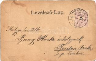 1898 Nagyszentmiklós, Sannicolau Mare; Czenzinger szálloda, belső, látkép, artézi kút / hotel, inter...