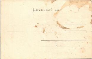 Erzsébetváros, Dumbraveni; Apaffy vár. Scholtes A. kiadása / castle (b)