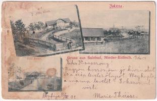 1902 Alsóidecs, Idecs, Eidisch, Ideciu de Jos; Villa Kosch, Villa Rösler / nyaralók / villas (b)