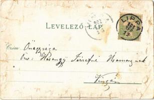 1902 Máriaradna, Radna (Lippa, Lipova); Stationsgebäude / Indóház, vasútállomás. Gregor Fischer kiad...