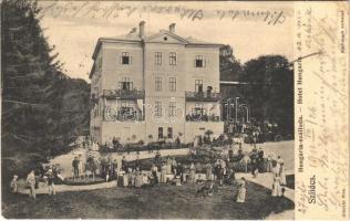1910 Szliács, Sliac; Hungária szálloda, vendégek, hintók / Hotel Hungaria, guests, horse-drawn carriages (fl)