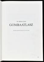 Dr. Krébecz Jenő: Gombaatlasz. Kétszáz közép-európai nagygomba. Bp., 1988, Pallas. 200 p. Színes kép...