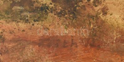 Fóth 72 jelzéssel: Balaton. Olaj, farost, 49x72cm