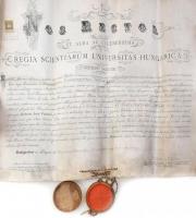 1910 Bp., Királyi Magyar Tudományegyetem által kiállított jogi diploma, függő viaszpecséttel, okmánybélyeggel, hajtva, 62x50 cm