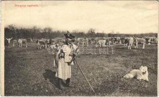 Hortobágy, ökörgulya legeltetés, magyar folklór. Képeslapfüzetből (non PC) (szakadás / tear)