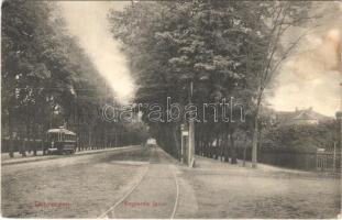1913 Debrecen, Nagyerdei fasor, villamos. Ifj. Gyürky Sándor kiadása (ázott / wet damage)