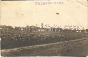 1928 Pálmonostora, látkép. photo (fa)