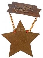 ~1950. "Szakma Kiváló Dolgozója - Könnyűipar" Rákosi-címeres zománcozott és aranyozott fém...