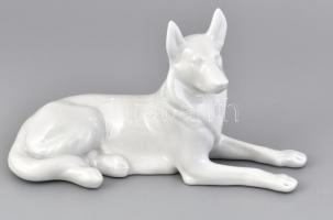 Drasche porcelán német juhászkutya. Fehér mázas, jelzett, hibátlan, 20x8x11,5 cm
