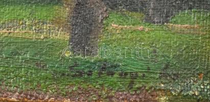 Szlányi Lajos (1869-1949): Somogytúr Kunffy Lajos kertjéből. Olaj, falemez, jelzett, fa keretben, 31...