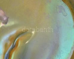 Zsolnay eozin mázas rákos tál, jelzett (halványan), erős kopásnyomokkal, d: 15 cm