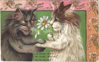 Macskák / He loves me! he loves me not! He loves me! Cats. Raphael Tuck & Sons Humorous Series 6877. litho (EK)