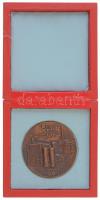 1985. "50 éves a Gyulai Tejporgyár - Dehydró 1935 - Anhydró 1985" Br emlékérem eredeti tok...