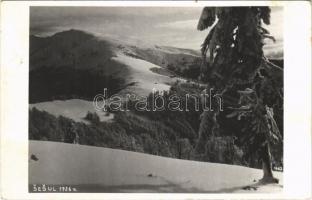 1938 Tiszaborkút, Kvaszi, Kvasy; Sesul / hegy télen / mountain in winter (EK)