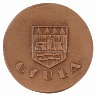 Kiss Nagy András (1930-1997) ~1980. "Székely Aladár emlékére / Gyula" Br emlékplakett (~88...