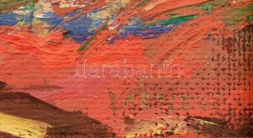 Várszegi Tamás (1946-): Színes alföldi táj. Olaj, farost. Jelzett. Fa keretben. 24x37 cm