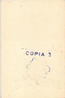 Trieste, Trieszt; Villa Basevi (non PC)